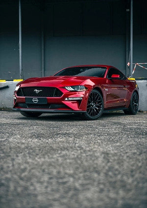 Ford Mustang cena 148000 przebieg: 59800, rok produkcji 2019 z Katowice małe 22